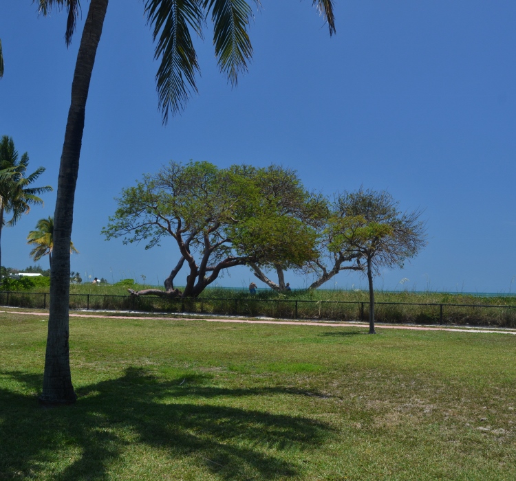 Sombrero Beach